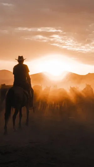 Horseback Rider At Sunset