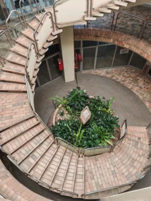 Circular Staircase With Greenery