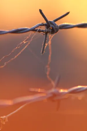 Sunlit Barbed Wire