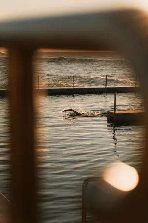 Swimmer At Sunset
