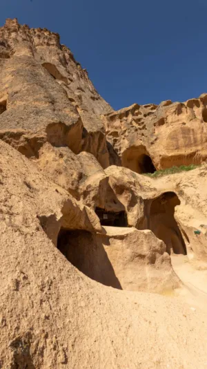 Ancient Rock Carvings