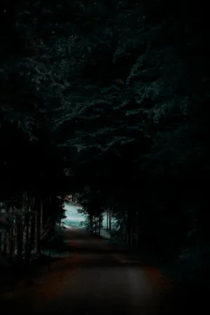 Forest Path