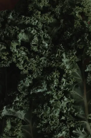 Green Kale Leaves