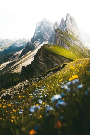 Alpine Landscape