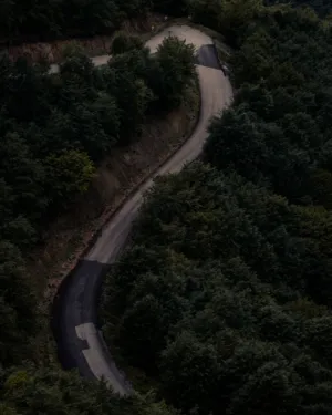 Winding Road Through Forest