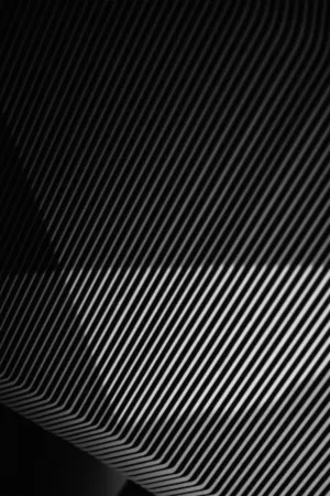 Abstract Lines