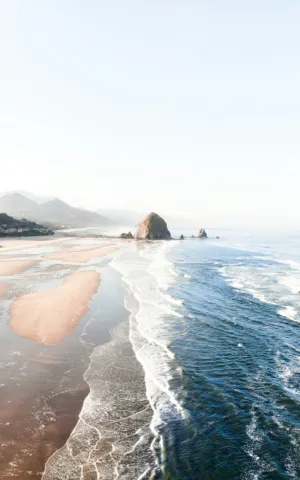Beach Landscape