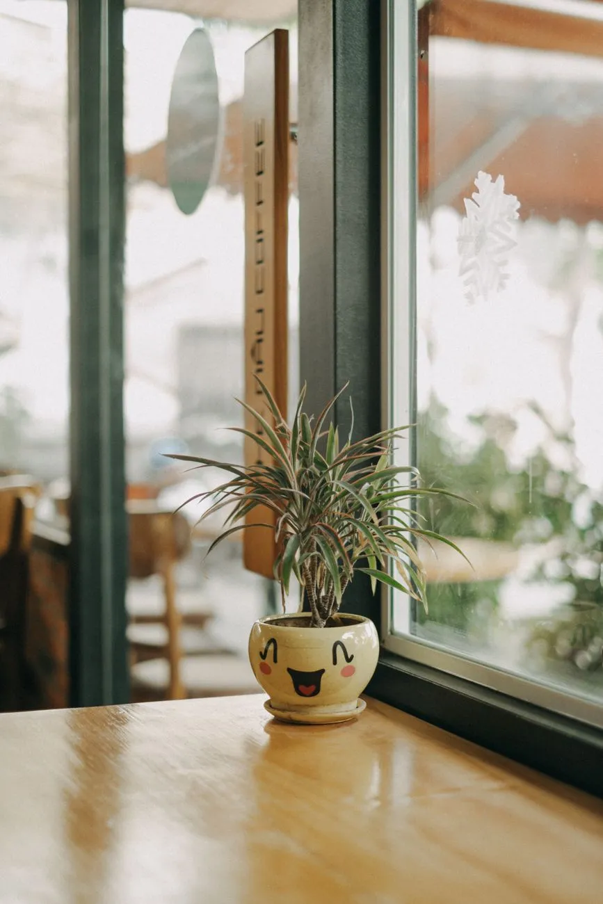 Cute Plant In A Smiling Pot