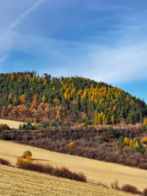 Autumn Landscape