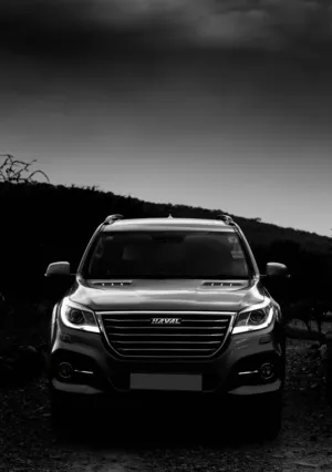 Modern Suv In Monochrome
