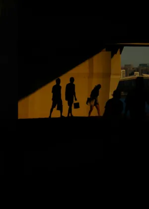 Silhouettes Under The Bridge