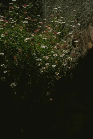 Floral Overgrowth