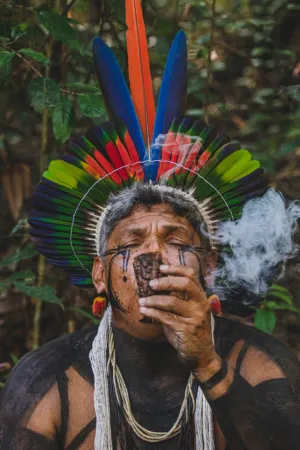 Indigenous Man In Traditional Headdress