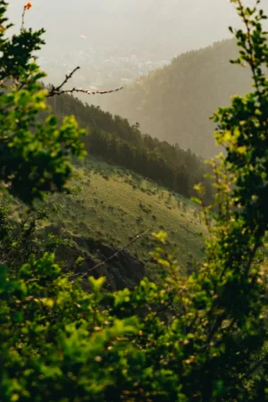 Mountain Vista