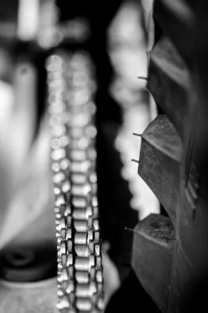 Chain And Gear