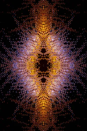Symmetrical Abstract Art