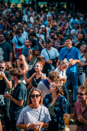 Crowd At A Festival
