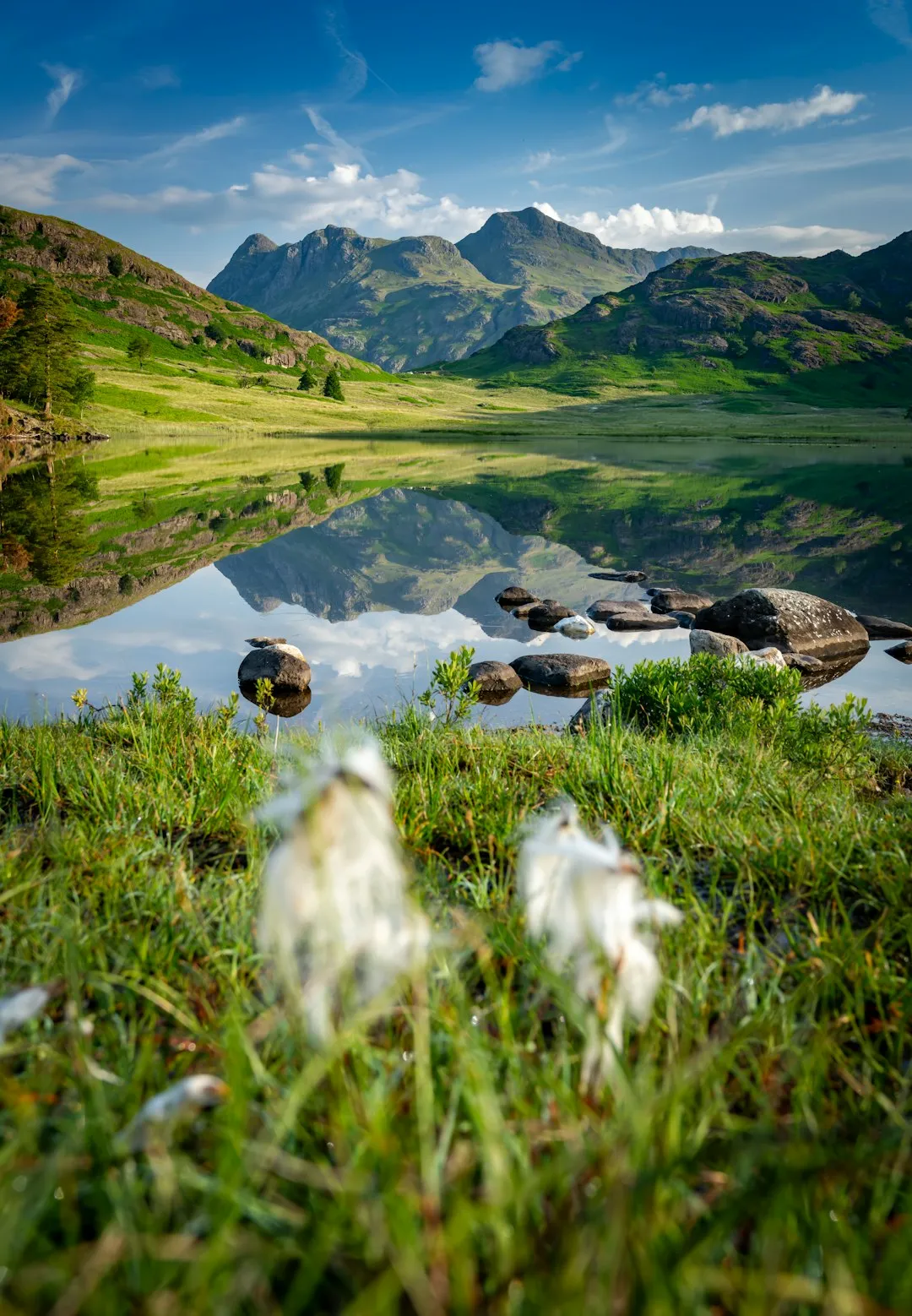 Landscape Reflection