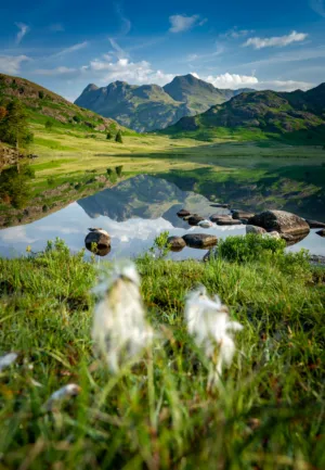 Landscape Reflection