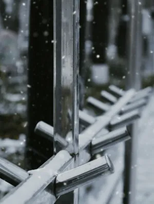 Snowy Fence