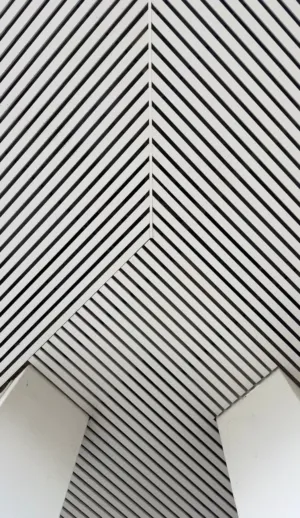 Geometric Lines