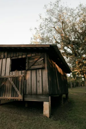 Rustic Wooden Shed