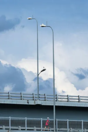 Street Lights And Bridge