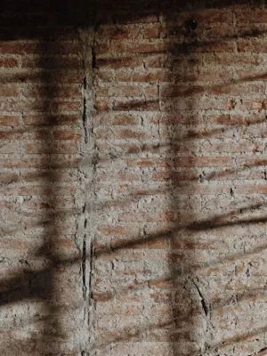 Brick Wall With Shadows