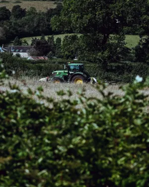 Green Tractor In A Field