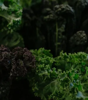 Kale