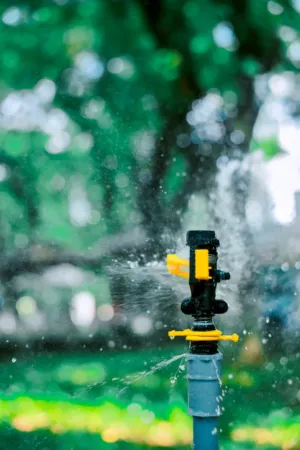 Sprinkler In Action