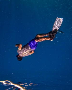 Underwater Diver