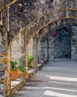 Ancient Arches