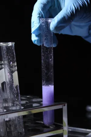 Scientific Experiment