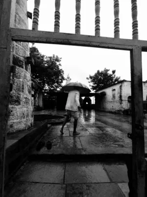 Rainy Day Walk
