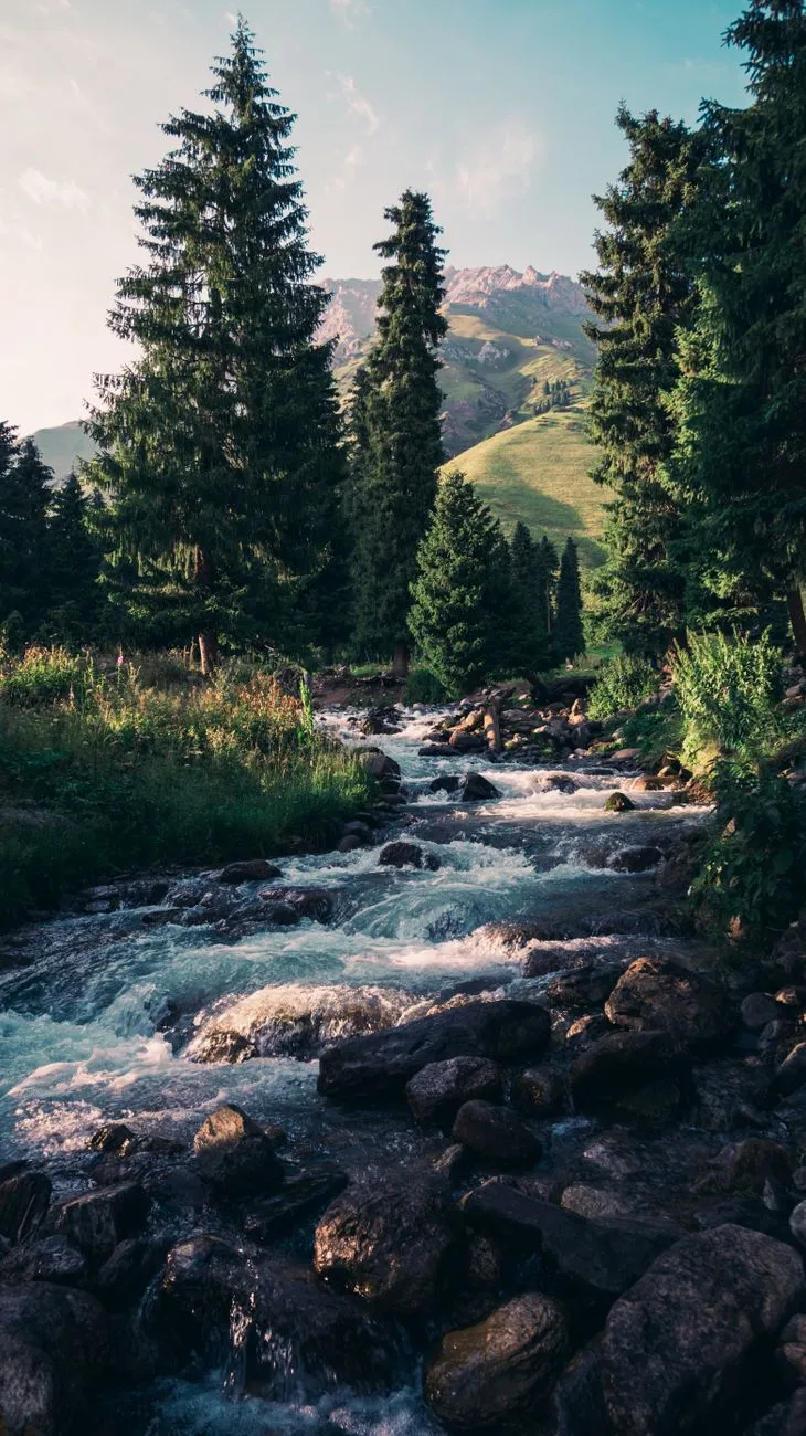 Mountain Stream