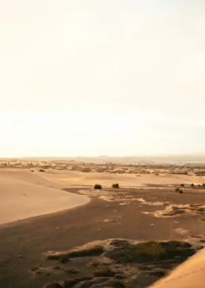Desert Landscape