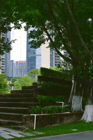 Urban Garden