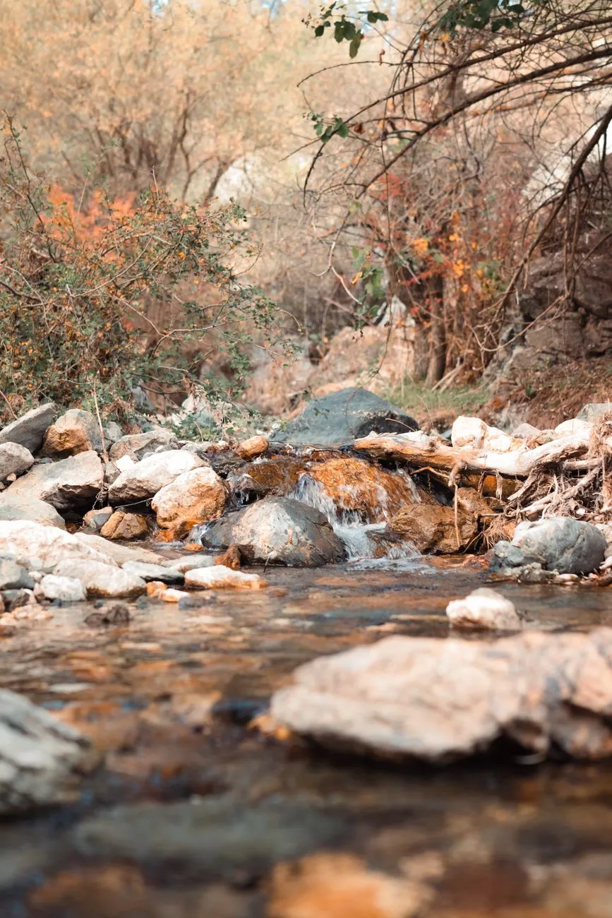 Autumn Stream