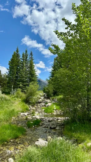 Mountain Stream
