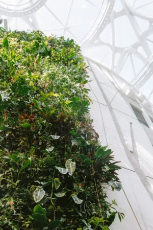 Green Wall In Modern Architecture
