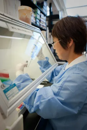 Scientist Working In Lab