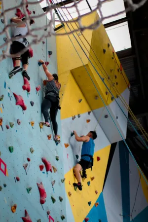 Indoor Climbing Wall