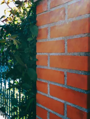 Brick Wall With Ivy