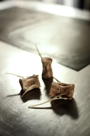 Bone Fragments