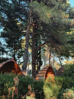 Forest Cabins