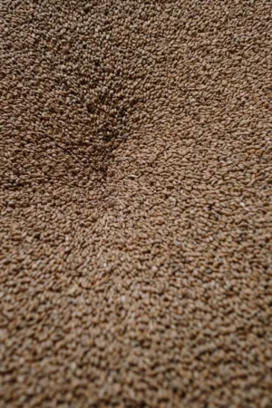 Grain Texture