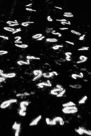 Numbers In The Dark