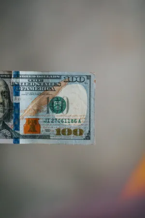 100 Dollar Bill