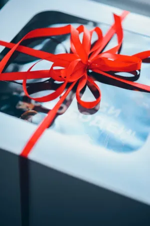 Gift Box With Red Ribbon